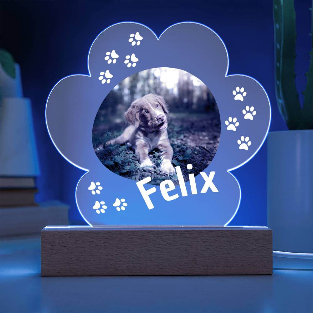 Deko mit Beleuchtung und Foto deines Hundes