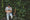 Person 2